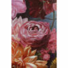 Picture Touched Flower Sky 120x90