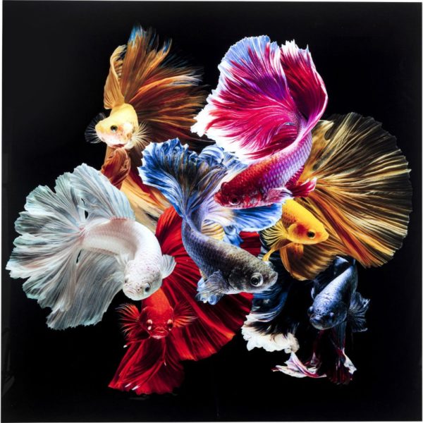 Glass Picture Colorful Swarm Fish 120x120cm