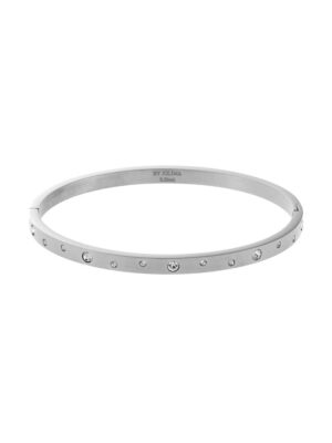 Stardust bangle, crystal steel