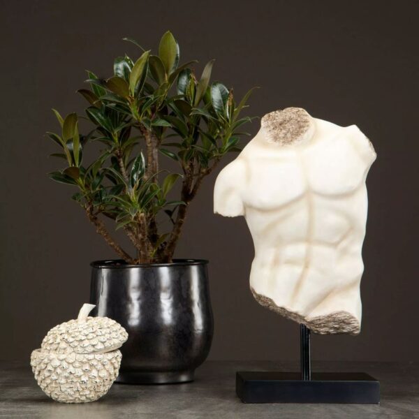 Torso Beige Poly