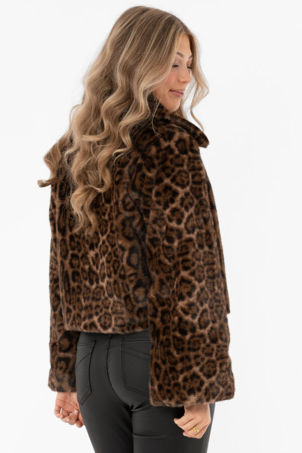 Minou Fur Jacket Chestnut/Black - Image 3
