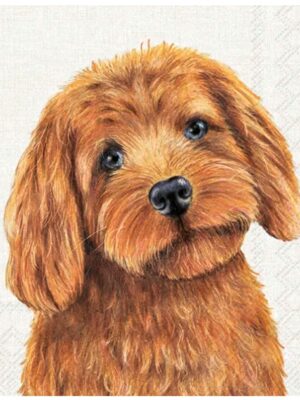 Servetter - Farm Dog Cream Lunch