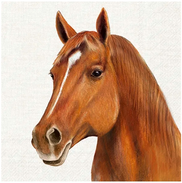 Servetter - Farm Horse Cream Lunch