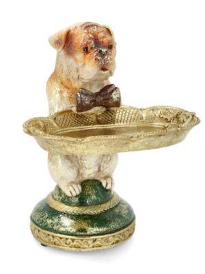Engelsk Bulldog Med Fat